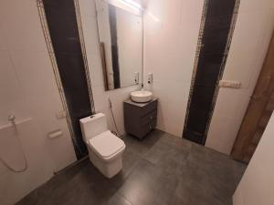 新德里Hotel Diamond Airport的一间带卫生间、水槽和镜子的浴室
