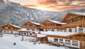 布鲁尼科Chalets Almdorf Haidenberg的雪中一组木制建筑