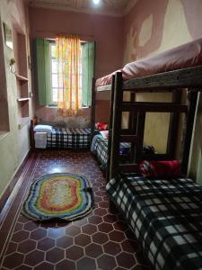帕萨夸特鲁Hostel Pousada Harpia的一间设有两张双层床和地毯的房间