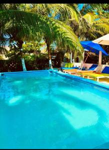 卡塔赫纳Eco hotel summer beach的一个带椅子和棕榈树的大型蓝色游泳池