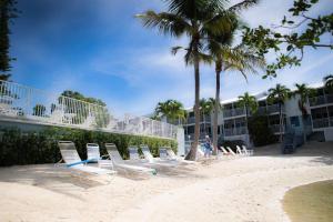 基拉戈Overlooking Saltwater Lagoon Free Golf Cart-Kayaks的海滩上一排椅子和棕榈树