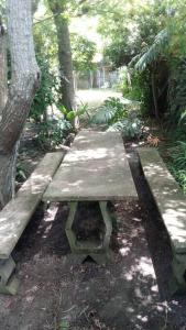 拉斯托斯卡斯Casa de playa para vacacionar的森林中间的木凳