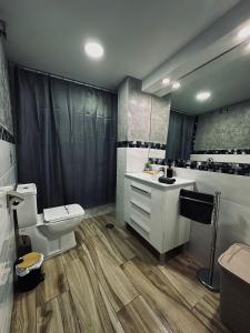 赫雷斯-德拉弗龙特拉Loft Jerez的浴室设有卫生间、水槽和卫生间。