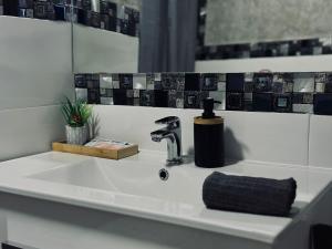 赫雷斯-德拉弗龙特拉Loft Jerez的浴室水槽和肥皂机