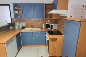 圣拉里苏朗Appartement 4/6 places pied des pistes的一间小厨房,内配蓝色橱柜和水槽