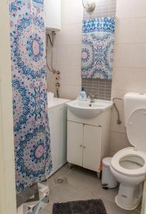 斯科普里Olympia's apartment的浴室设有卫生间、水槽和淋浴帘