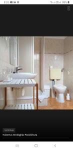 保拉德胡贝图文德哈兹旅馆的一间带水槽和卫生间的浴室
