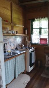 坎普阿莱格里Chalé Cafofo的厨房配有炉灶和水槽