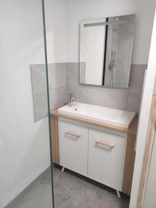 讷莱米讷Résidence Les Hauts de France的一间带水槽和镜子的浴室