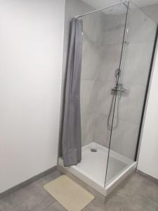 讷莱米讷Résidence Les Hauts de France的浴室里设有玻璃门淋浴