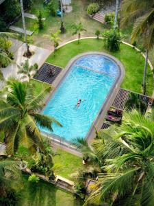 尼甘布Hotel Riverrina的游泳池的顶部景色,有人在游泳池游泳