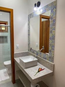 皮雷诺波利斯Pousada Mãe Natureza的一间带水槽、镜子和卫生间的浴室