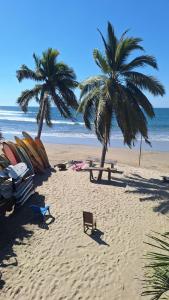 TemalhuacánChuchosmom room 3的两棵棕榈树和海滩上的长凳