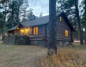 拉皮德城Historic Log Cabin #14 at Horse Creek Resort的森林中间的小木屋