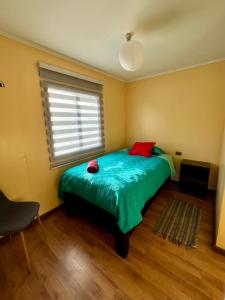 里坎雷Cabañas Ruta Lacustre的一间卧室配有一张带绿毯的床和窗户。