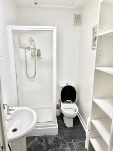 爱丁堡C&E Apartment的白色的浴室设有卫生间和水槽。