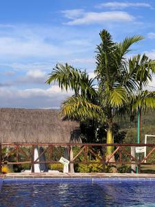圣希尔Hotel Campestre Palmas del Zamorano的围栏旁的棕榈树游泳池