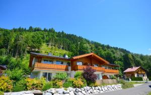 滨湖采尔APT Mountain View by - Alpen Apartments的山丘上的房子
