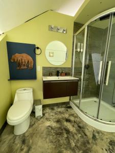下博克特LUXURY ECO的浴室配有卫生间、淋浴和盥洗盆。