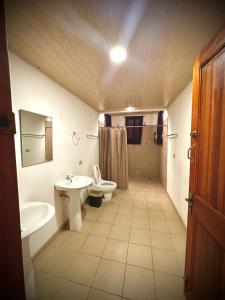 埃尔巴列德安通Blasina el valle的一间带水槽、卫生间和淋浴的浴室
