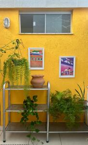 巴西利亚GayFriendly Hostel BSB Airport的黄色的墙,有盆栽植物和长凳