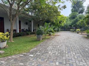 波隆纳鲁沃Hotel Sanhida Polonnaruwa的一条在树屋前的鹅卵石路径