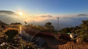 蒙纳Munnar Tent Camping的享有雾 ⁇ 的道路和日落美景