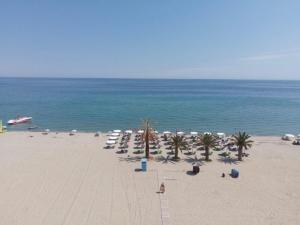 尼欧波洛伊tomas & maria rooms的海滩上拥有遮阳伞和棕榈树,还有大海