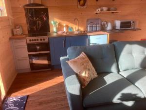 Captivating 1-Bed Lodge in Chesterfield的休息区