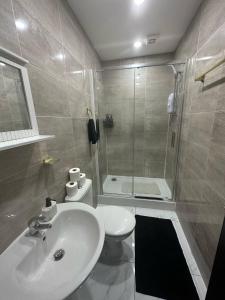 卡迪夫2 Bedroom Flat With Hot Tub的一间带水槽、卫生间和淋浴的浴室