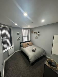 卡迪夫2 Bedroom Flat With Hot Tub的一间卧室设有一张床和两个窗户。