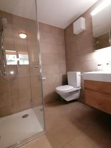 伊森塔尔菲沃洛法恩布里克度假屋的带淋浴、卫生间和盥洗盆的浴室