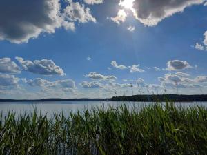 普鲁斯基Cztery Pory Warmii Pluski pokoje do wynajęcia的享有一大片水景