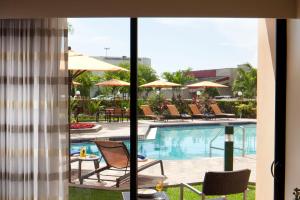 劳德代尔堡Courtyard by Marriott Fort Lauderdale East / Lauderdale-by-the-Sea的从酒店客房可欣赏到游泳池的景色