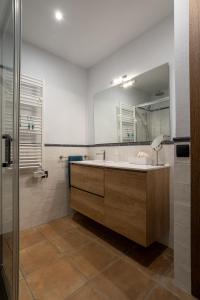 坎普罗东Lo Petit Refugi的一间带水槽、镜子和淋浴的浴室