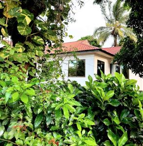 莫罗戈罗Elrad Residence Villa by Monalisa的穿过灌木丛看到房子