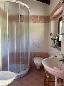 拉达-因基安蒂LOCANDA PODERE LE VIGNE的带淋浴、盥洗盆和卫生间的浴室