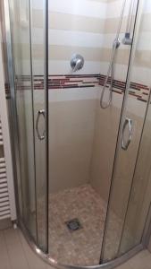 里米尼HOTEL HALF MOON RESTAURANT的带淋浴的浴室,带玻璃门