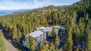 南太浩湖Hilton Vacation Club Tahoe Seasons Lake Tahoe的森林中央建筑物的空中景观