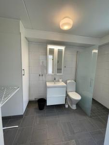 恩舍尔兹维克Rentalux Apartments in Örnsköldsvik的一间带卫生间、水槽和镜子的浴室
