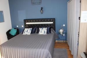 滨海勒韦尔东Chambre privée, Mer et Foret的一间卧室配有一张带蓝色墙壁的大床