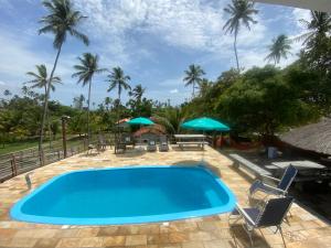 塔曼达雷Chalés dos Carneiros的棕榈树度假村的游泳池