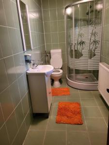 沃伊内亚萨Casa Nadia的浴室配有卫生间、盥洗盆和淋浴。