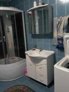 沃伊内亚萨Casa Nadia的浴室配有水槽、淋浴和浴缸。