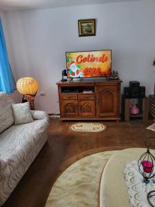 沃伊内亚萨Casa Nadia的带沙发和平面电视的客厅