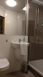 怀特黑The Mansion的浴室配有盥洗盆、卫生间和浴缸。
