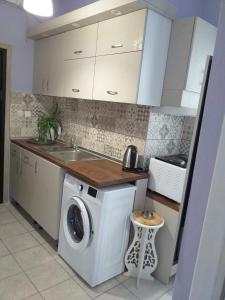 艾斯普罗瓦塔DiVa apartment的厨房配有洗衣机和水槽