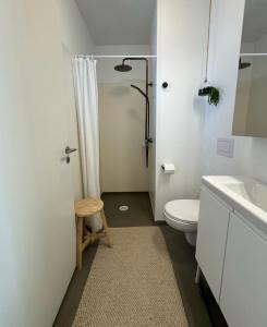 ReynistaðurArmuli的白色的浴室设有卫生间和水槽。