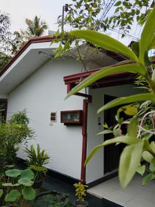 阿鲁特伽马Ceylonika Rest的一间白色的房子,有红色的门和一些植物