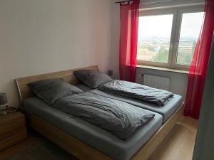 埃朗根Helle 2-Zimmer Wohnung Erlangen的卧室内的一张床位,卧室设有红色窗户
